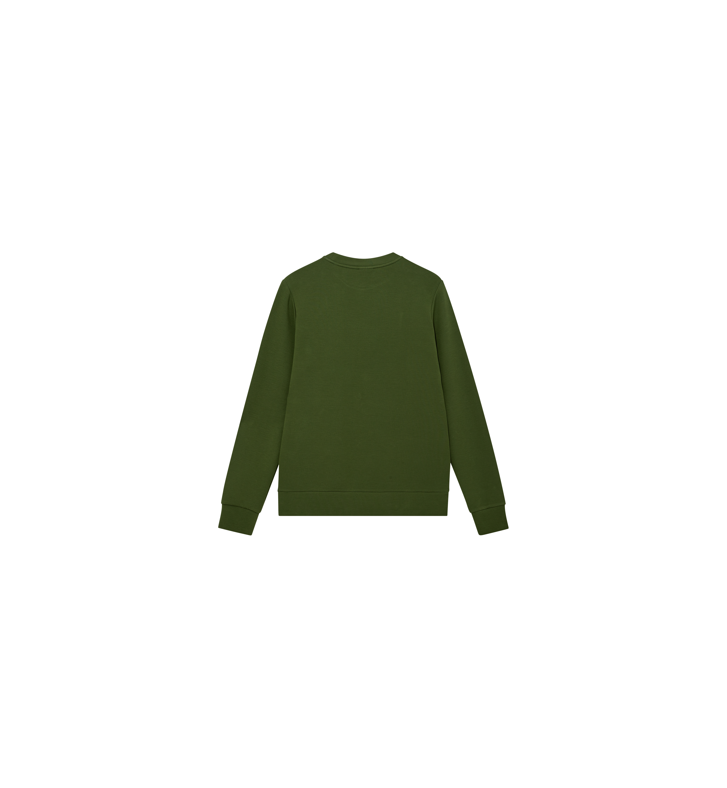 Packshot / Cactus / Back